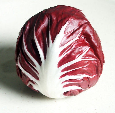 Radicchio Seeds ~ Italian Chicory ~ Very High in Fibre ~ Perennial ~  50+ Seeds