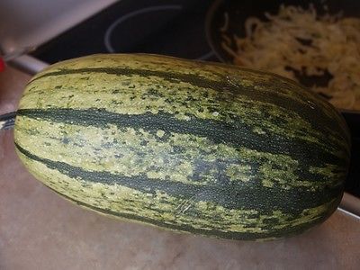 Squash Organic Seeds - SPRIPETTI - Unique Flavor!! - Pasta Sauce - 25 Seeds