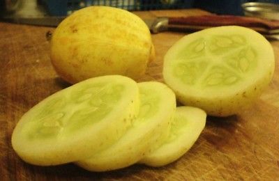 Cucumber Seeds - LEMON -  Lime Green Flesh - Heirloom Variety - 10 Seeds 