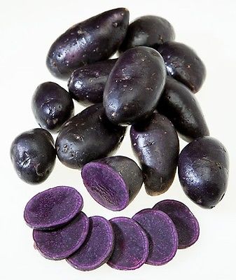 Potato Seed - PURPLE FIESTA - Purple Skin & Flesh  - Great Tasting - 8 tubers