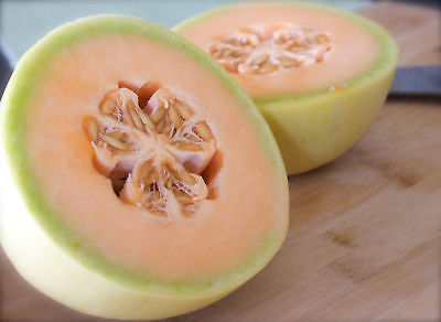 Melon Seeds - HONEYDEW - Sweetest of All Melons! -Source of Potassium- 20 Seeds