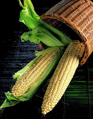 Sweetcorn Seeds - EARLY EXTRA - High Yielding Variety - theseedhouse - 50+ Seeds