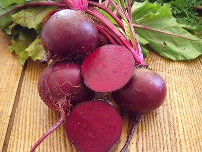 Beet Seeds - DETROIT DARK RED - Globe-Shaped Roots -theseedhouse- 50+ Seeds