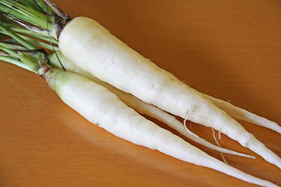 Carrot Seeds - SNOW MAN - Hybrid - GMO FREE - Novelty Carrot - 50 Seeds