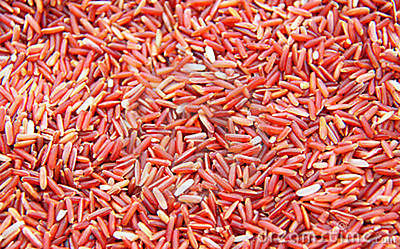Rice Seeds - Jasmine Red - Whole Grain - Organic - Robust Flavor - 400 Seeds
